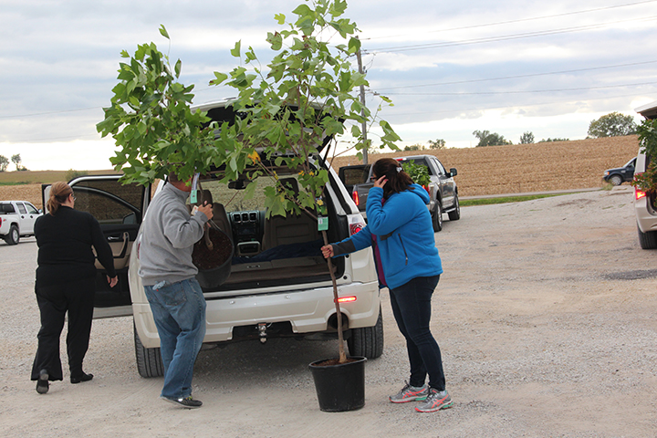 plant some shade 2016